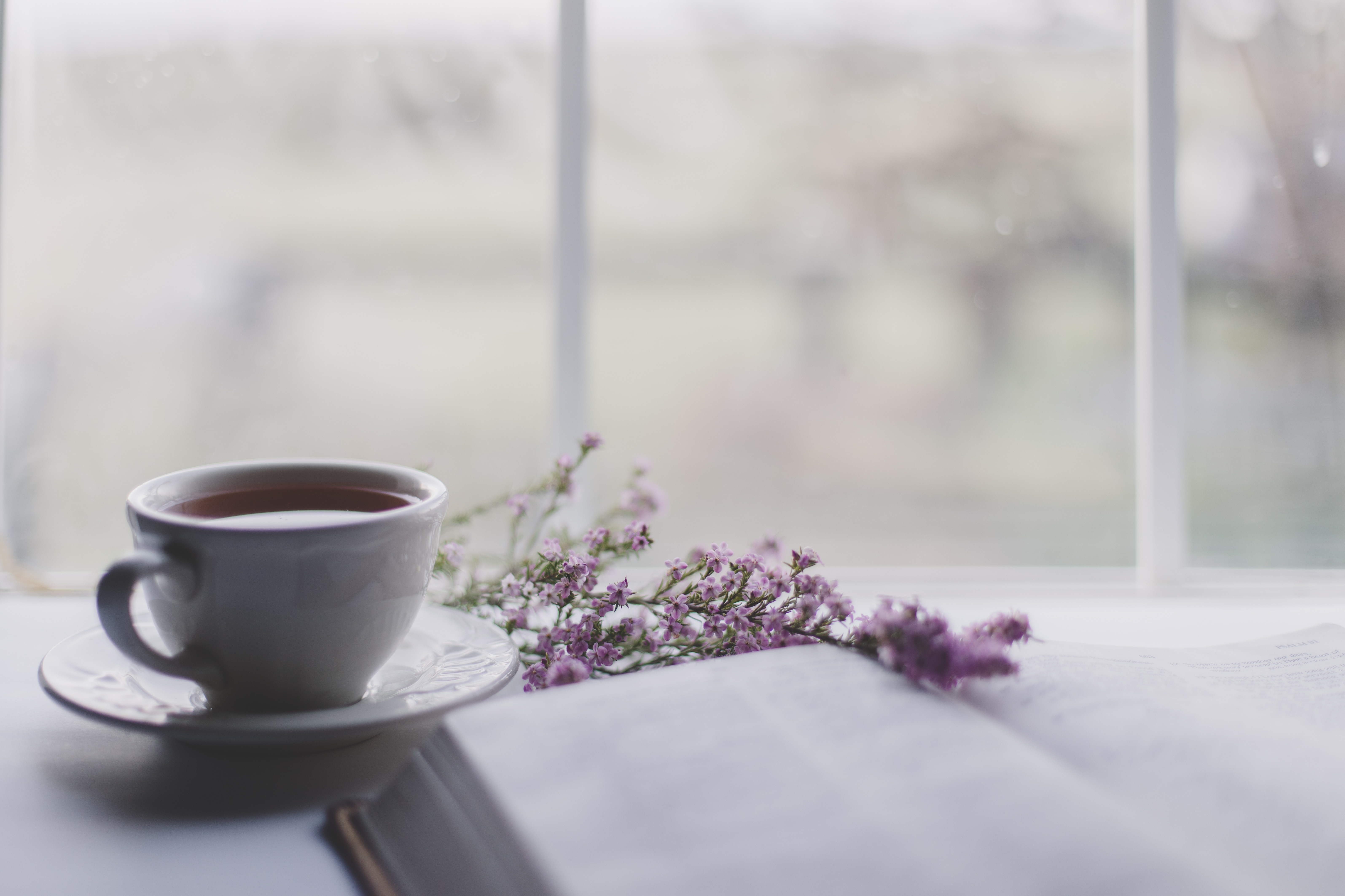 teacup with flowers and book